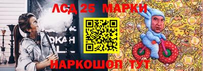apvp Кингисепп