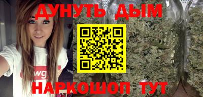 apvp Кингисепп