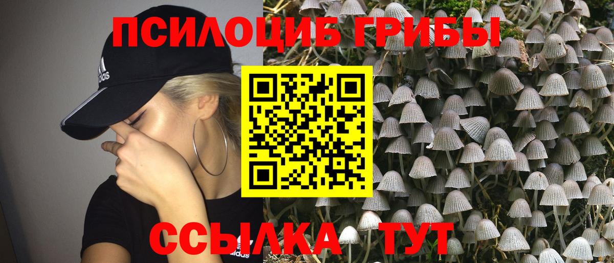 Галлюциногенные грибы MAGIC MUSHROOMS Краснознаменск
