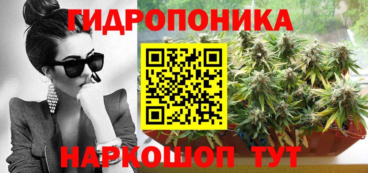 МАРИХУАНА семена Краснознаменск